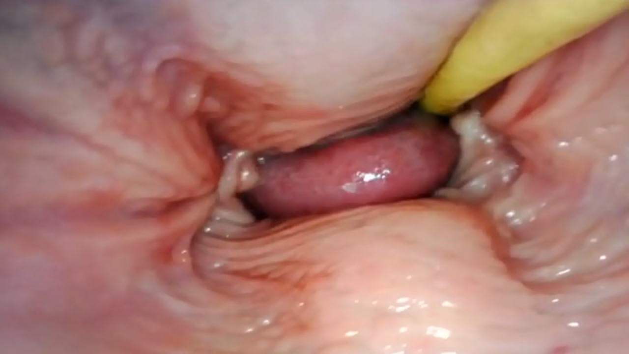 POV INTERNO INCRÍVEL. CÂMERA DENTRO DA BUCETA DELA ENQUANTO EU A Encho DE PORRA